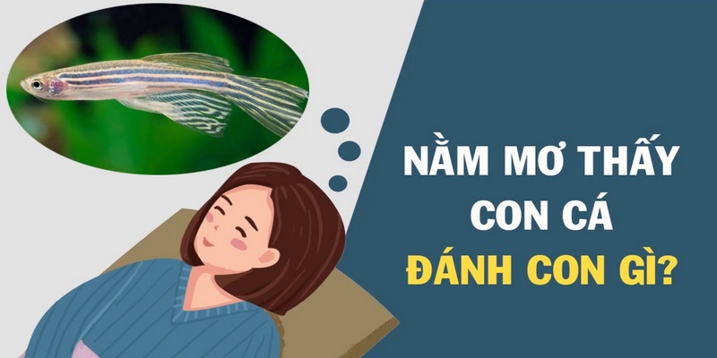 Giải mã chiêm bao ra số đẹp