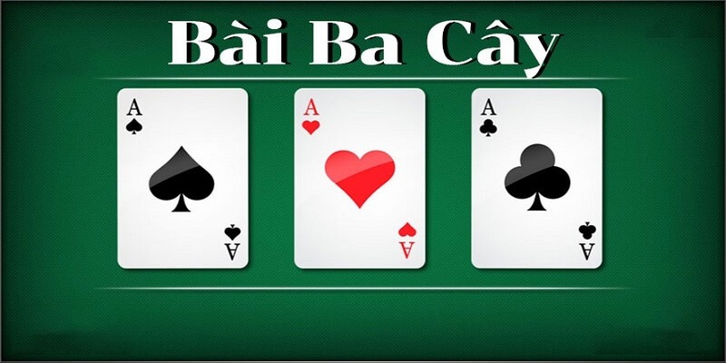 Tìm hiểu về bài ba cây