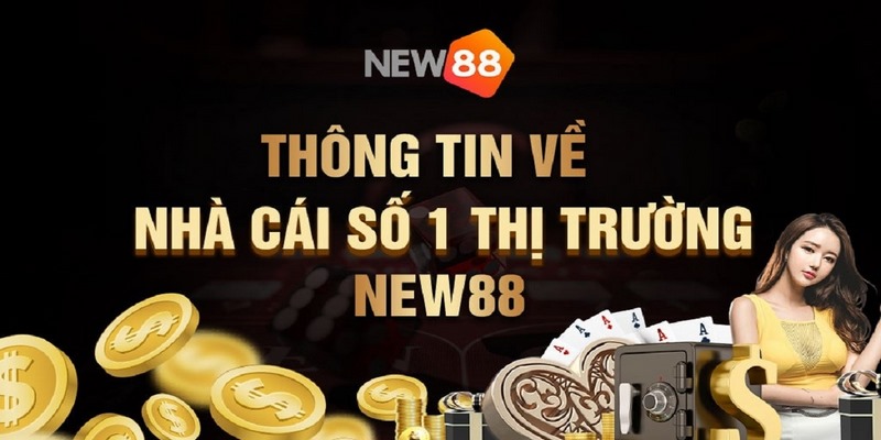 Thông tin giới thiệu về New88