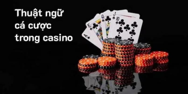 Tìm hiểu về thuật ngữ trong các loại hình casino