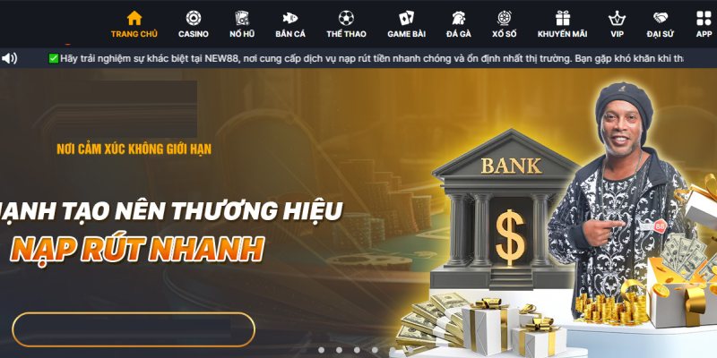 Tổng quan về thương hiệu New88