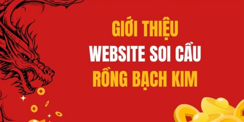 Trang web chuyên cung cấp thông tin về lô đề mỗi ngày